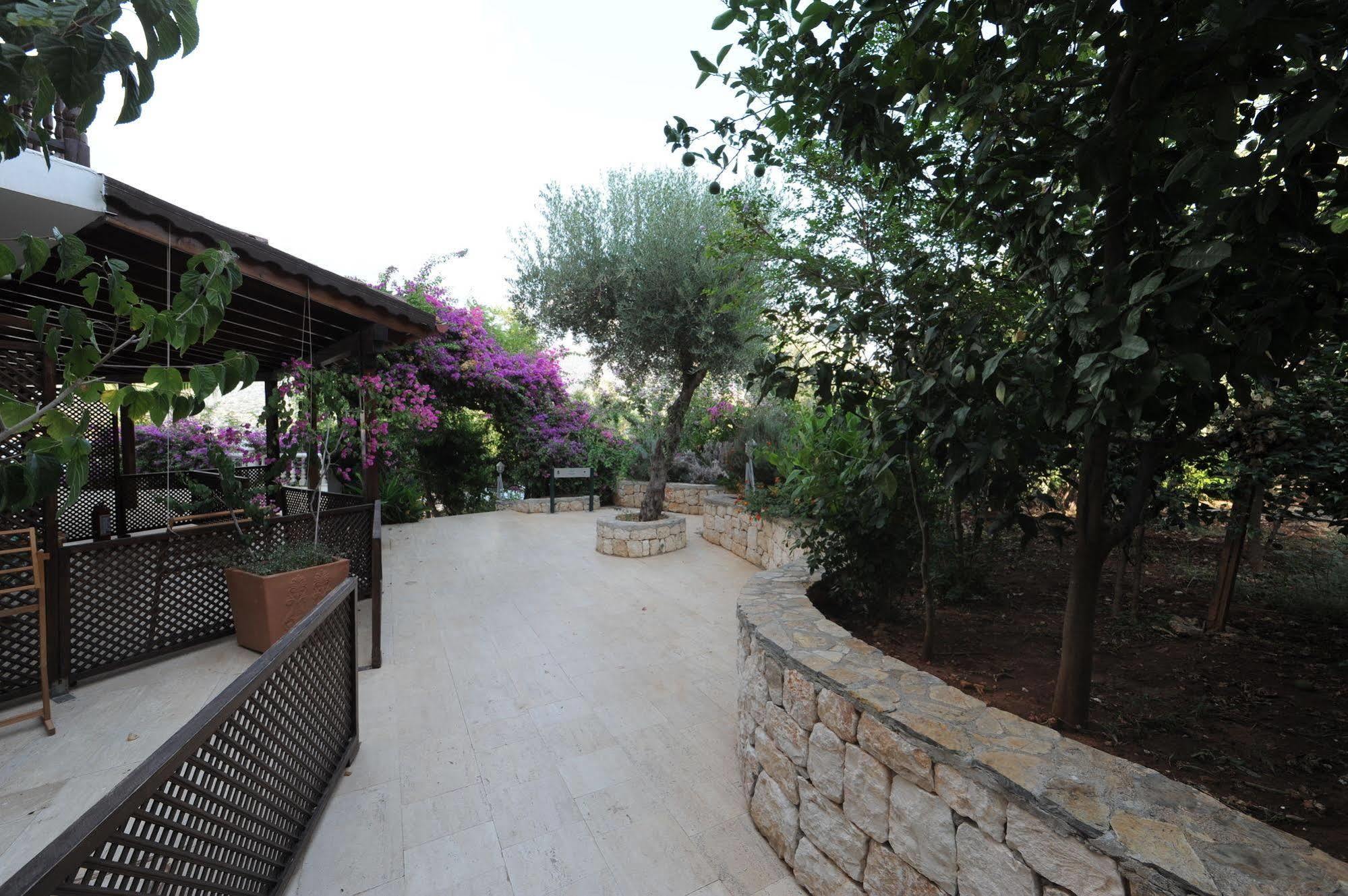 Club Hotel Barbarossa Kaş Kültér fotó