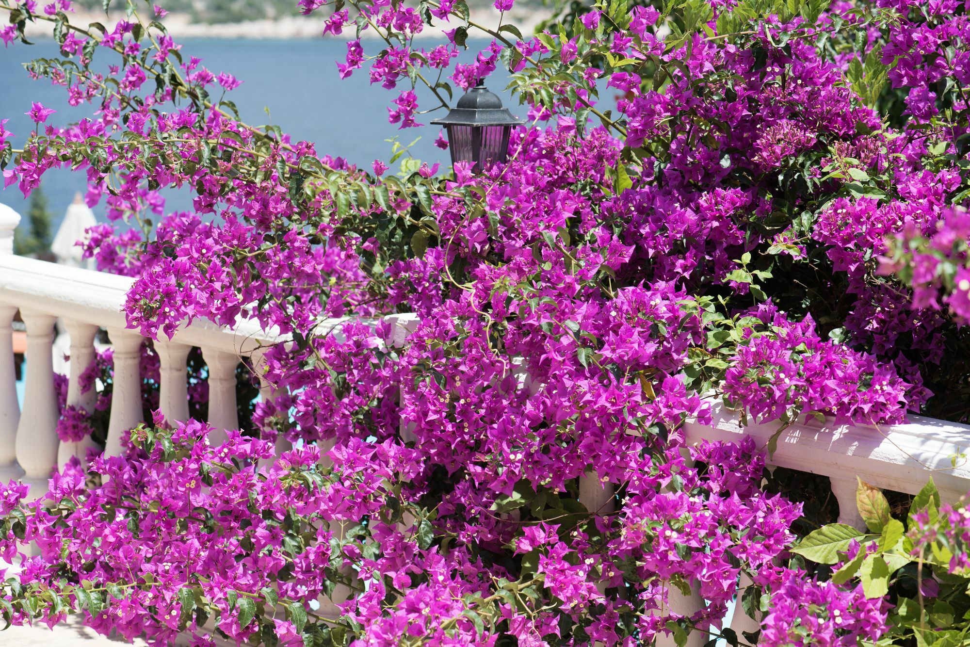 Club Hotel Barbarossa Kaş Kültér fotó